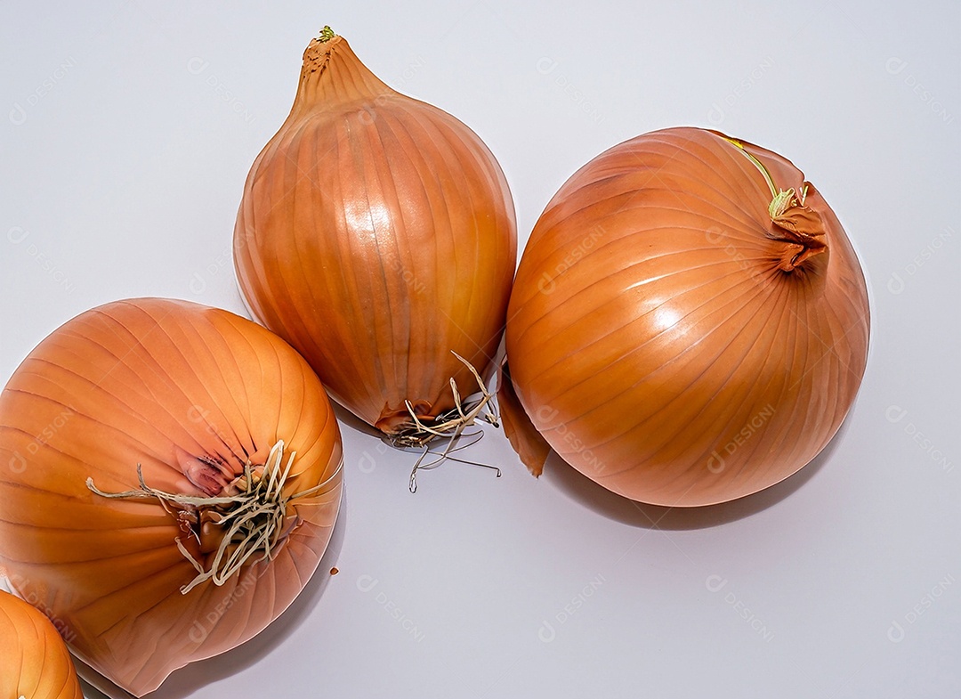 Cebolas em fundo branco
