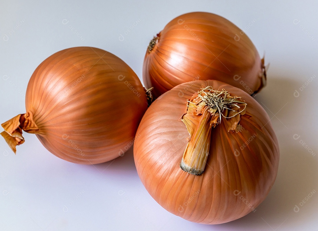 Cebolas em fundo branco