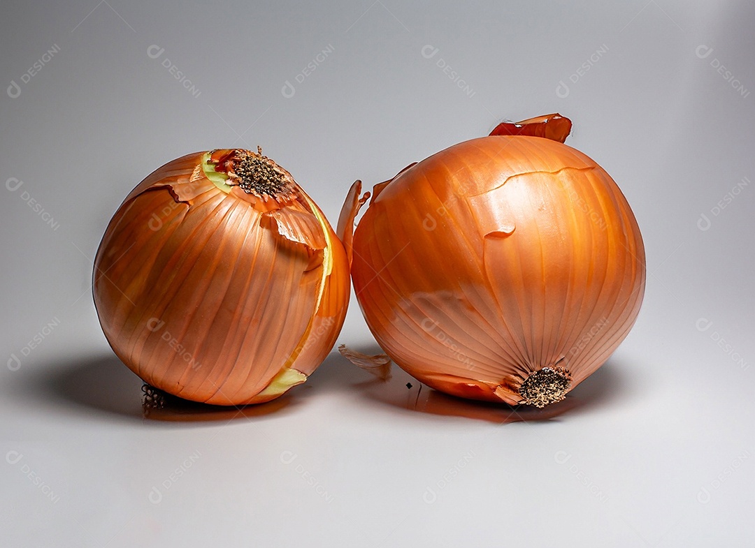 Cebolas em fundo branco
