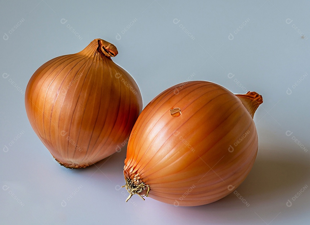 Cebolas em fundo branco