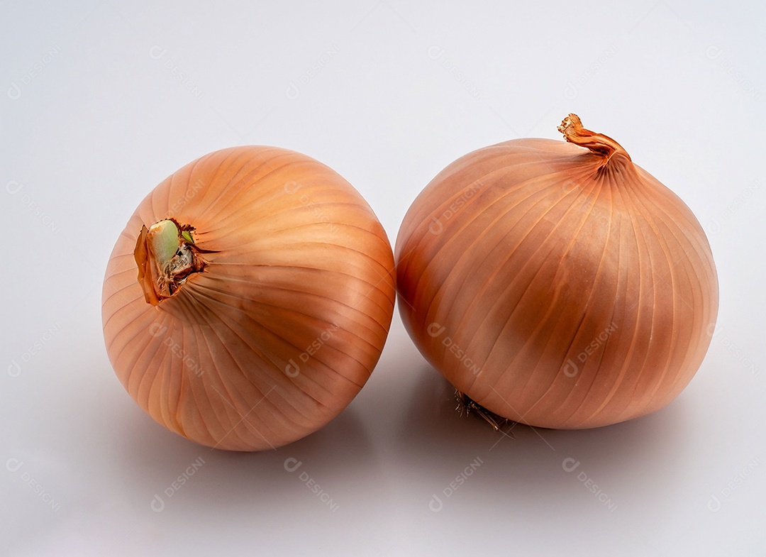 Cebolas em fundo branco