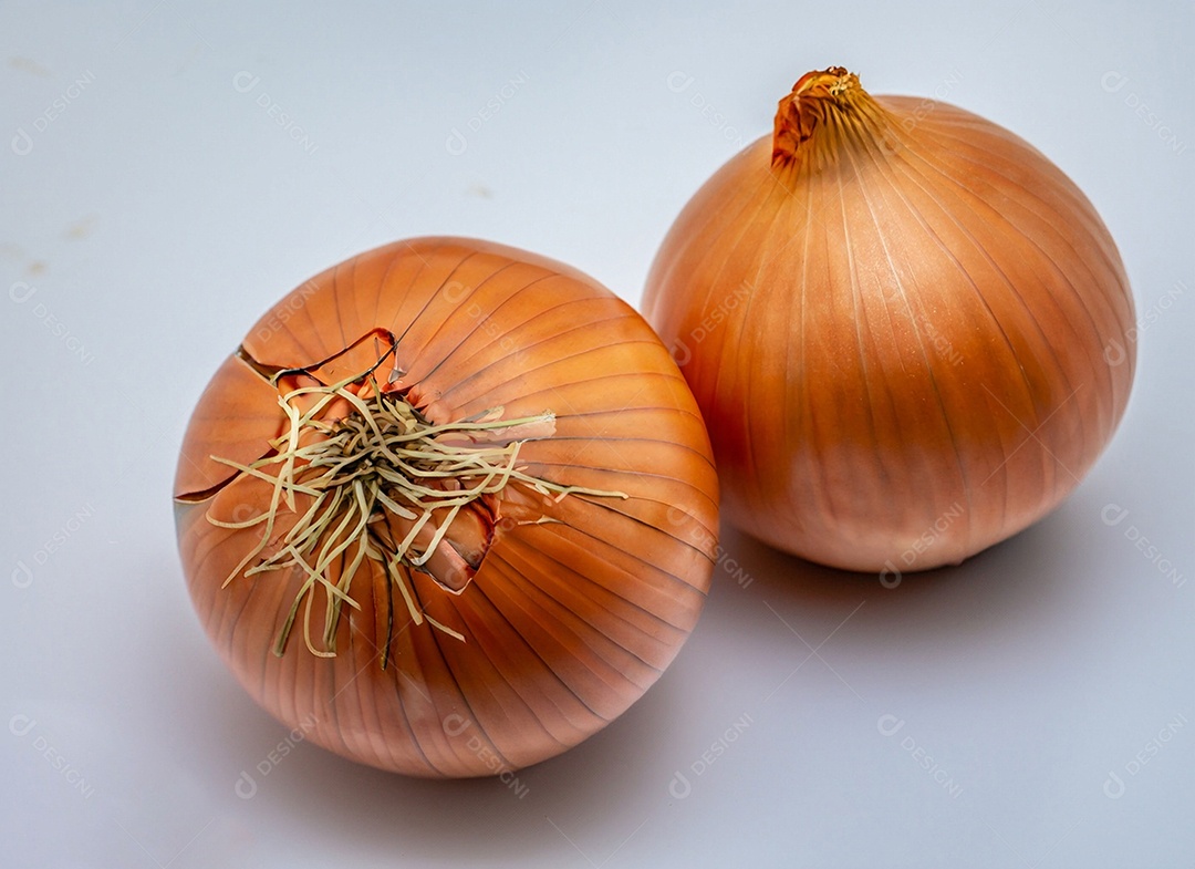 Cebolas em fundo branco