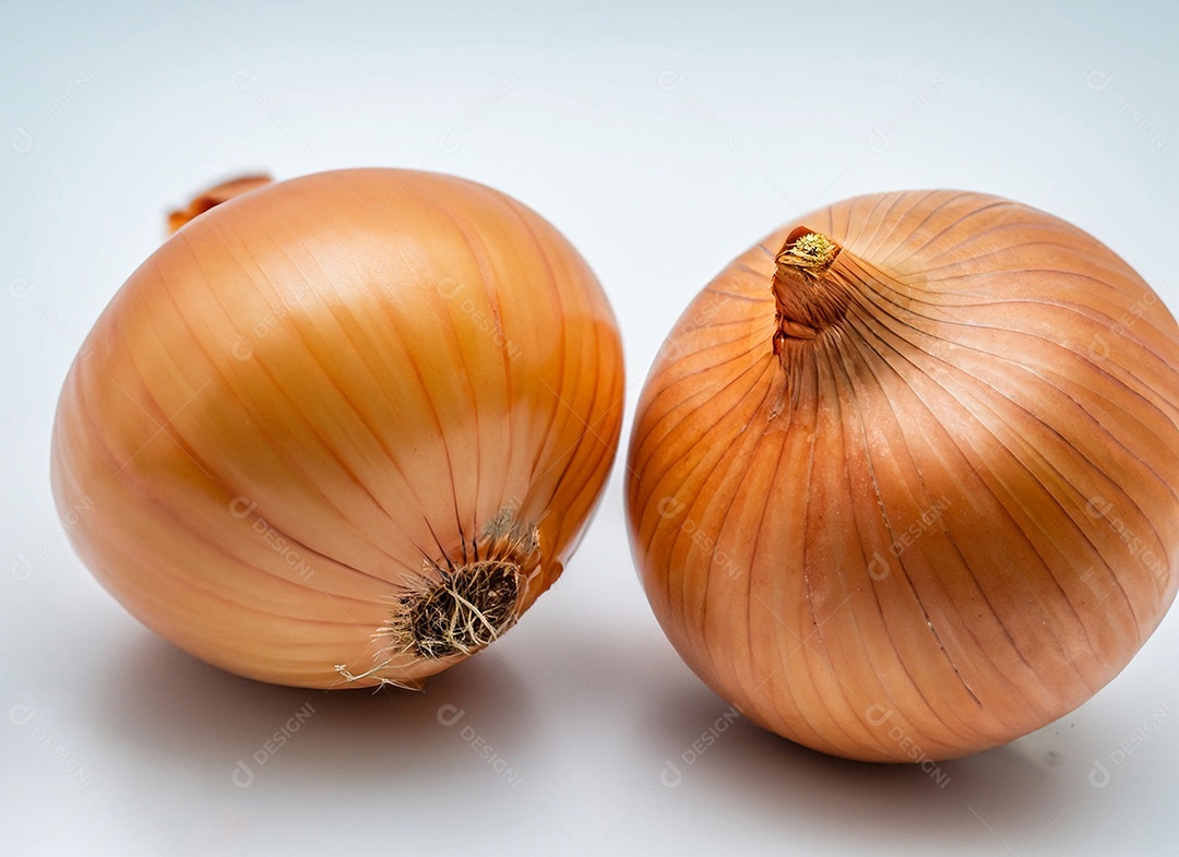 Cebolas em fundo branco