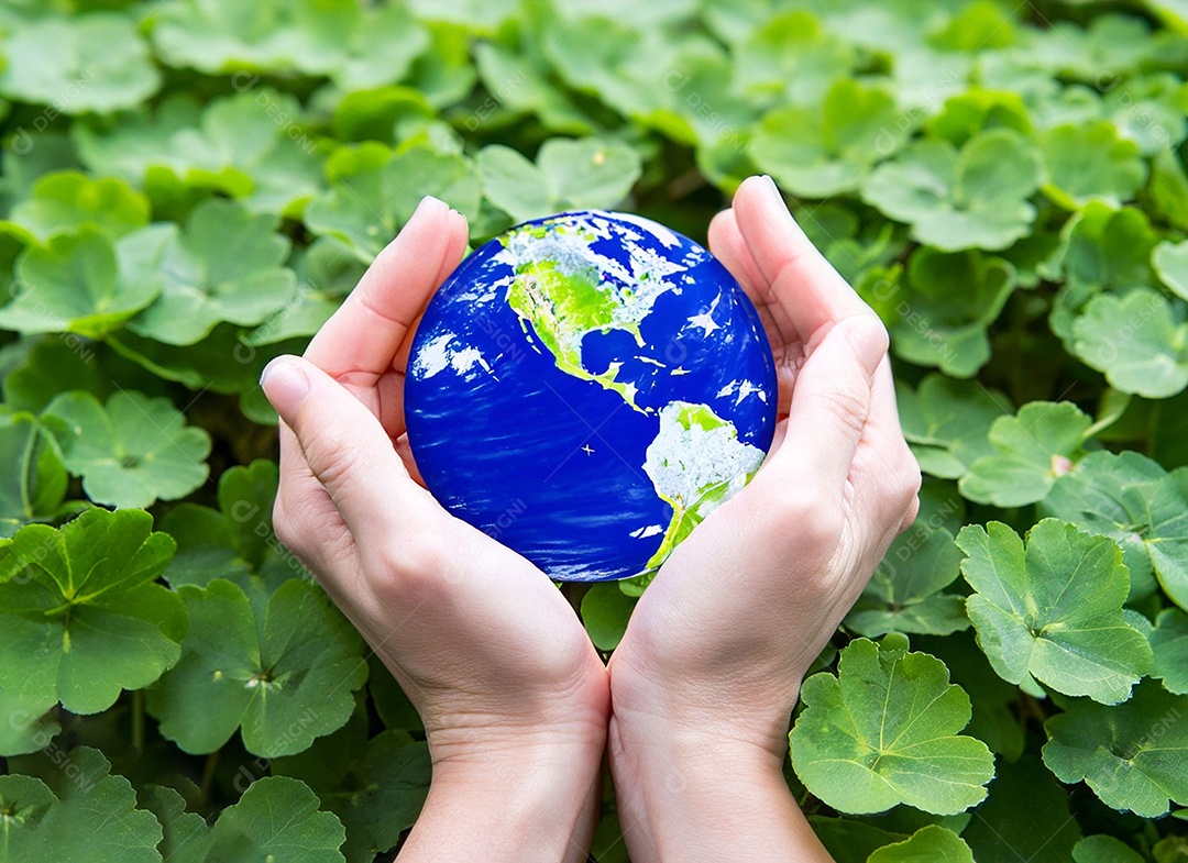Planeta Terra nas mãos e folhas verdes