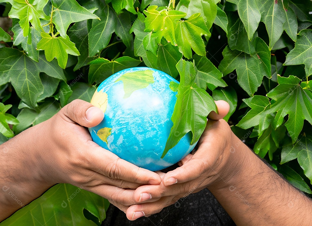 Planeta Terra nas mãos e folhas verdes