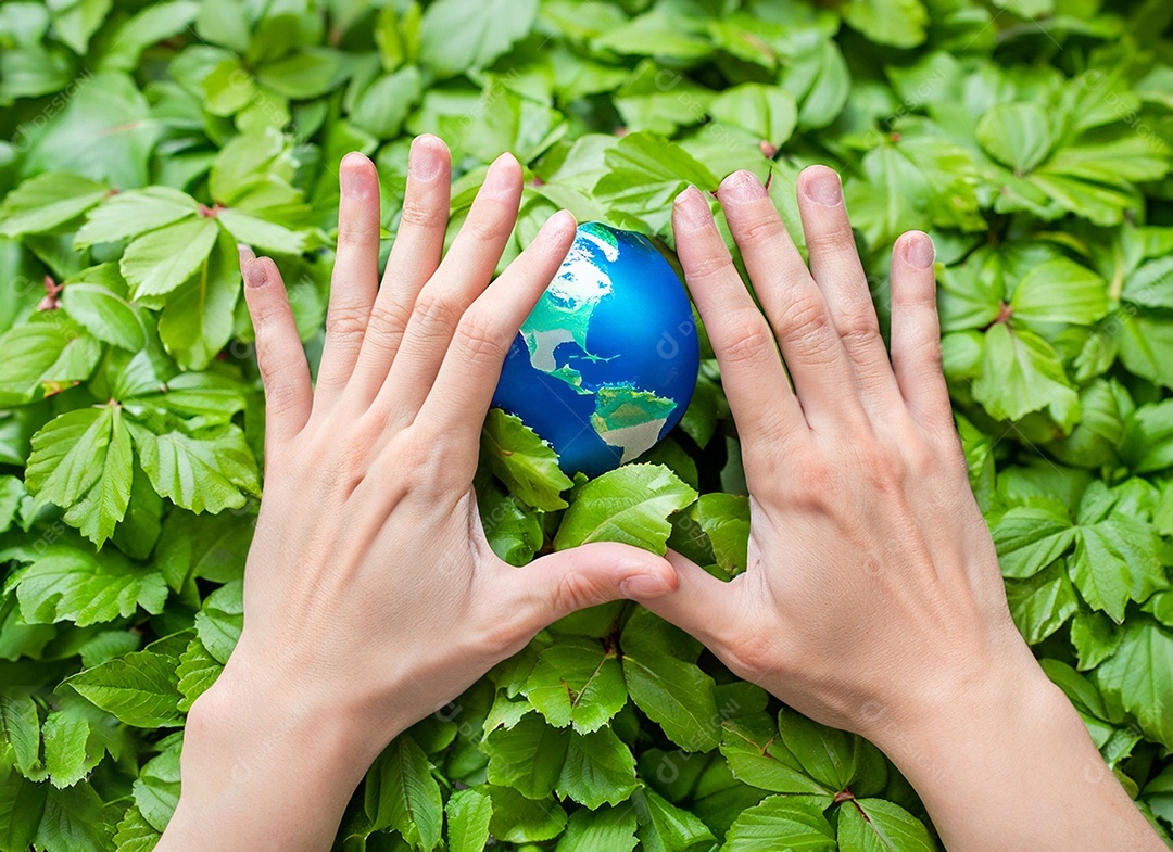 Planeta Terra nas mãos e folhas verdes