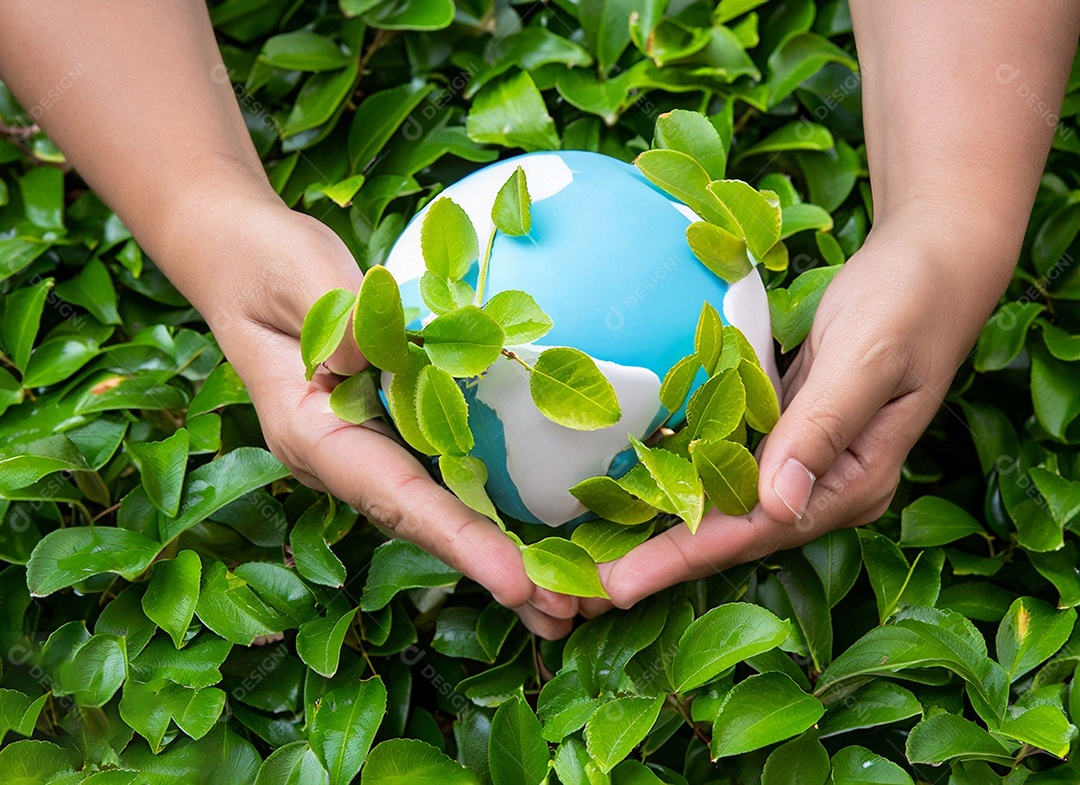 Planeta Terra nas mãos e folhas verdes