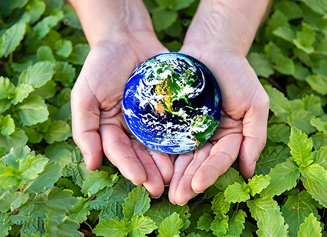 Planeta Terra nas mãos e folhas verdes