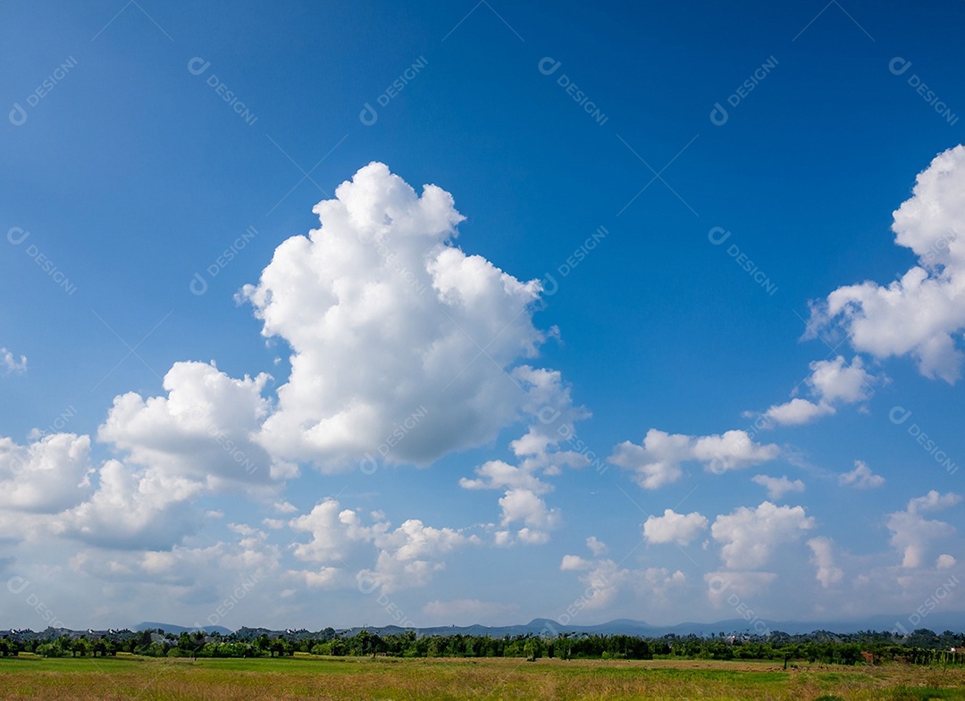 Campo verde com céu lindo azul aberto