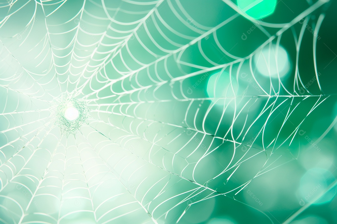 Teia de aranha translúcida transparente estilo halloween