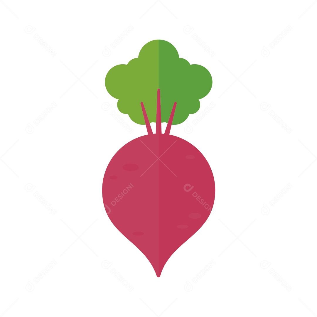 Beterraba Ilustração Vetor EPS