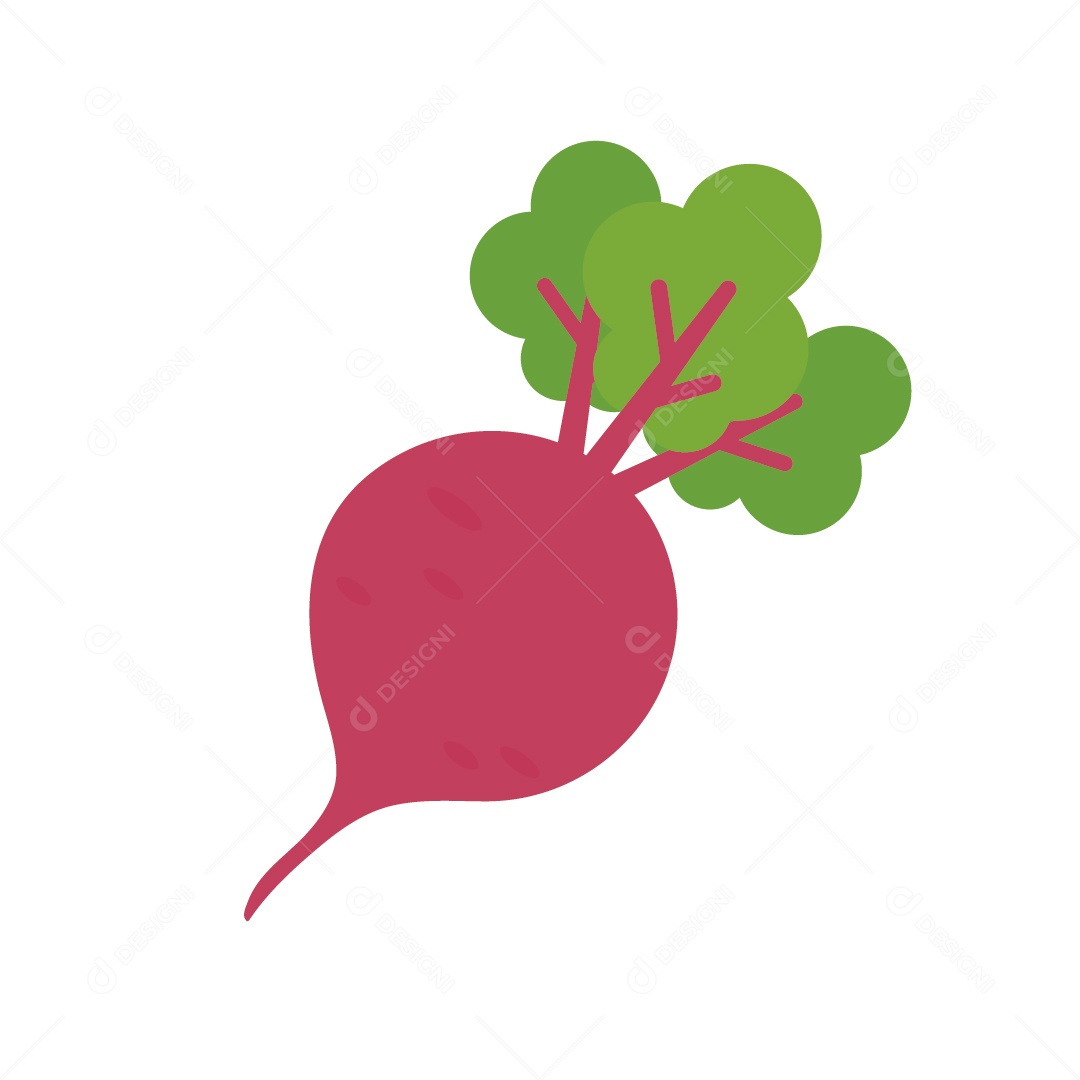 Beterraba Ilustração Vetor EPS