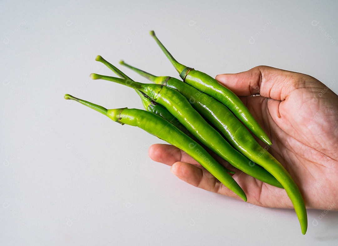 Pimentão Verde Em Fundo Branco