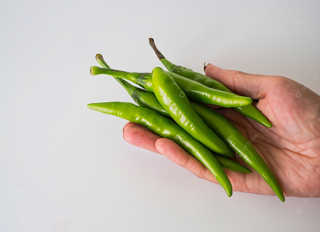 Pimentão Verde Em Fundo Branco
