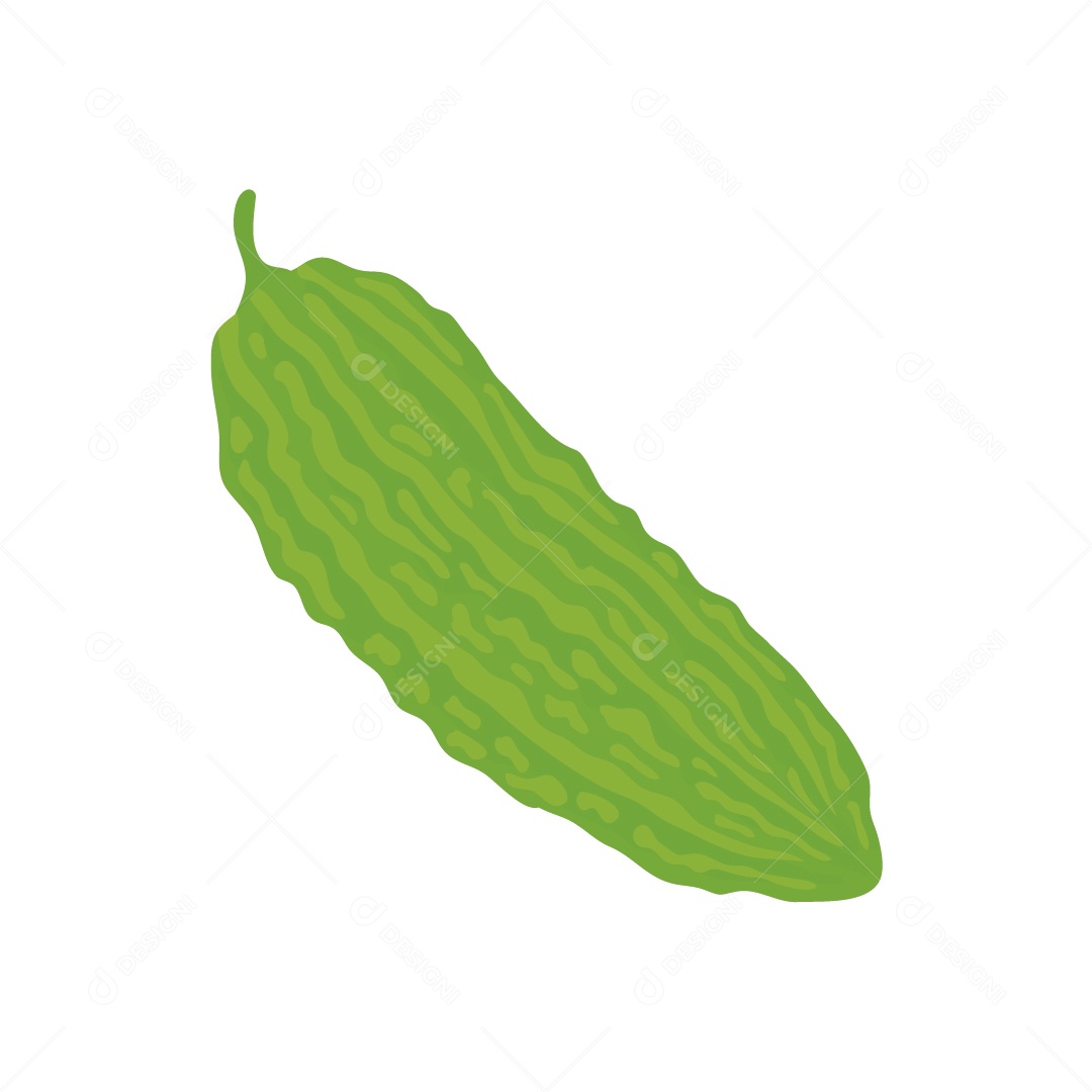 Cabaça Amarga Ilustração Vetor EPS