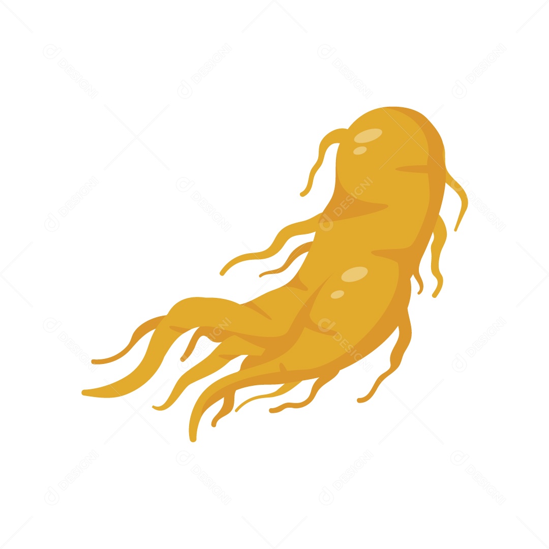 Ginseng Ilustração Vetor EPS