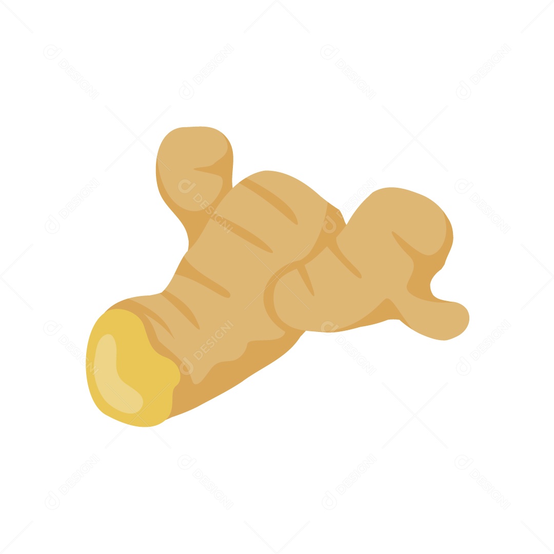 Gengibre Ilustração Vetor EPS