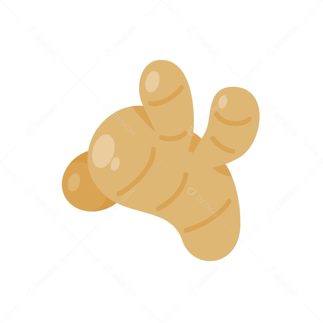 Gengibre Ilustração Vetor EPS