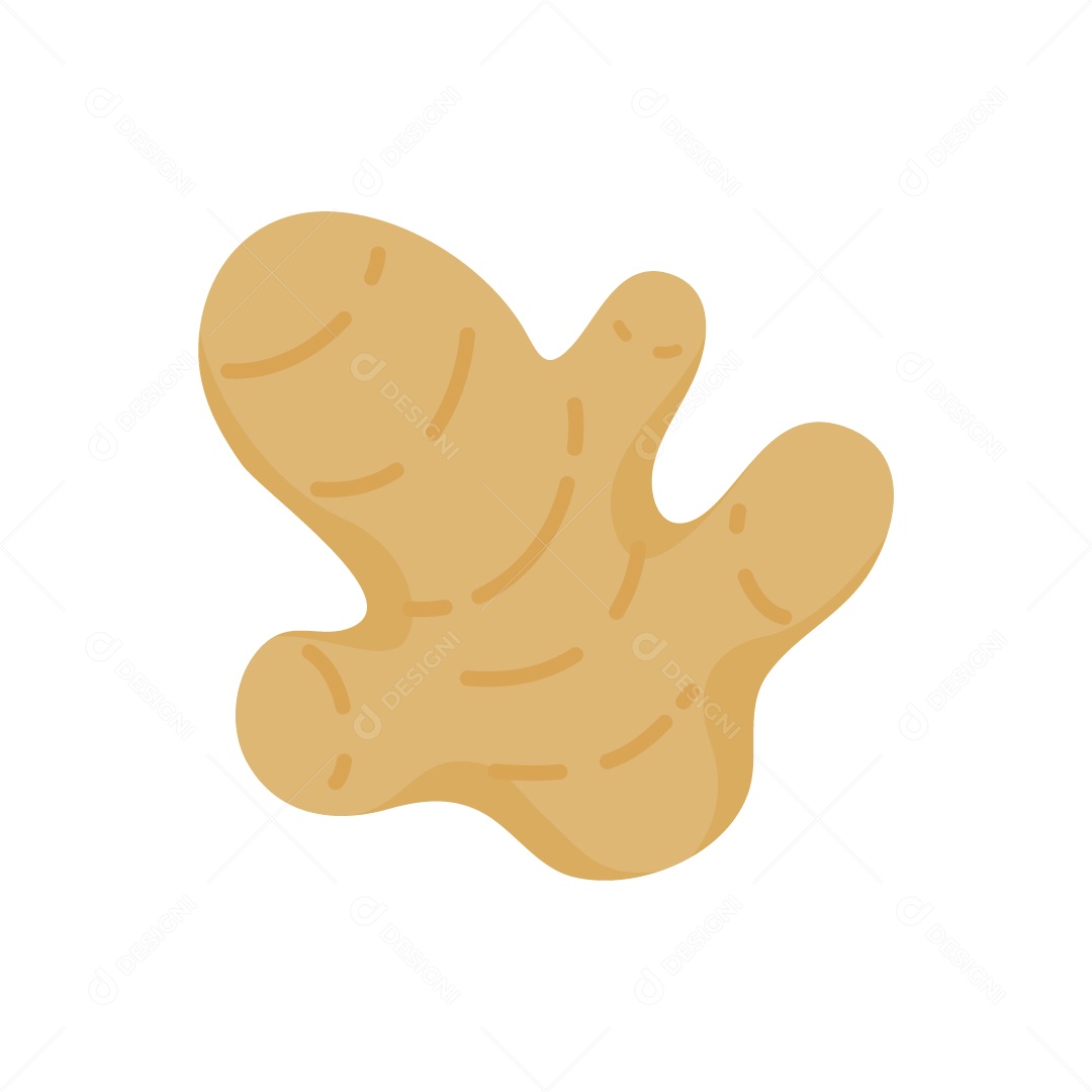 Gengibre Ilustração Vetor EPS