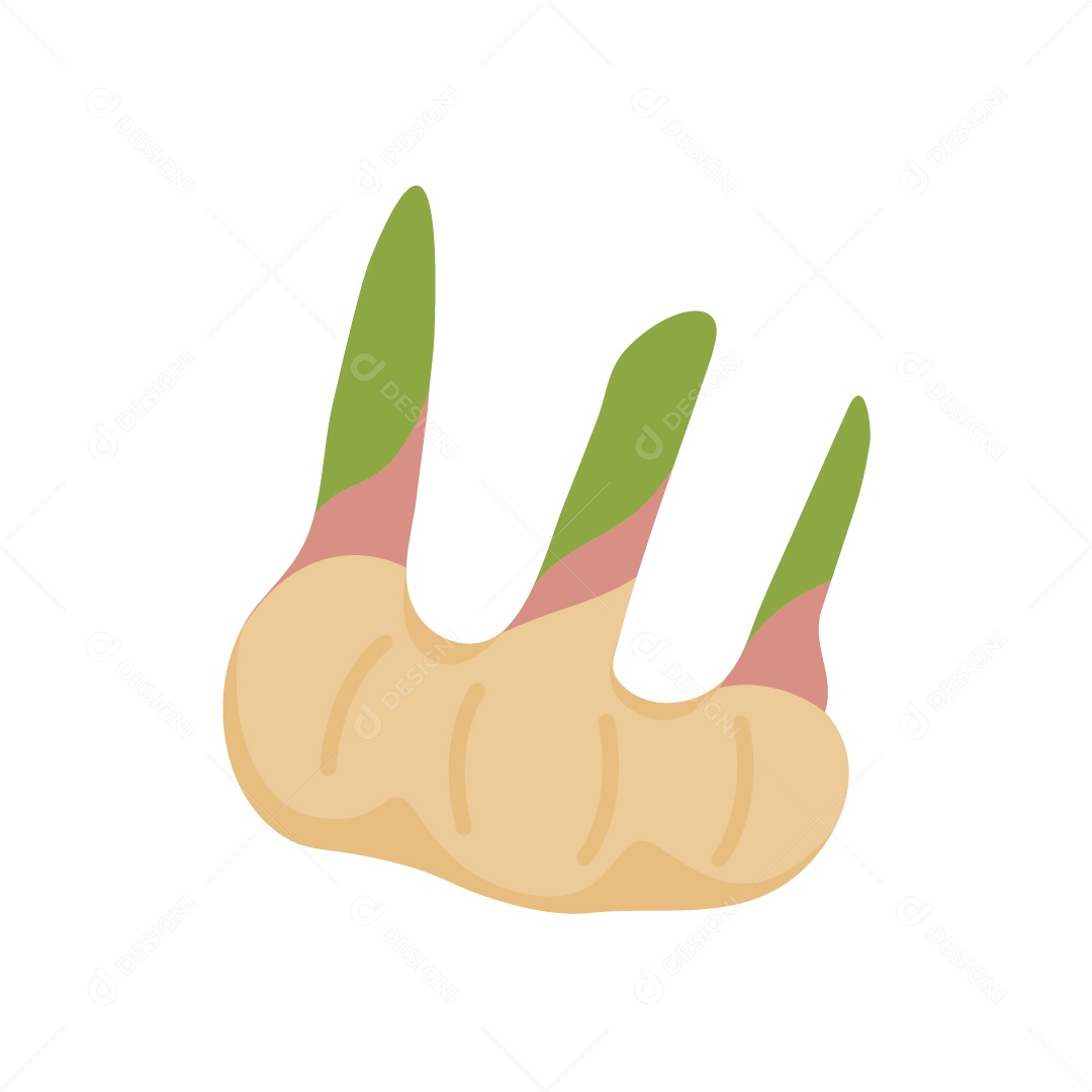 Vegetal Ilustração Vetor EPS