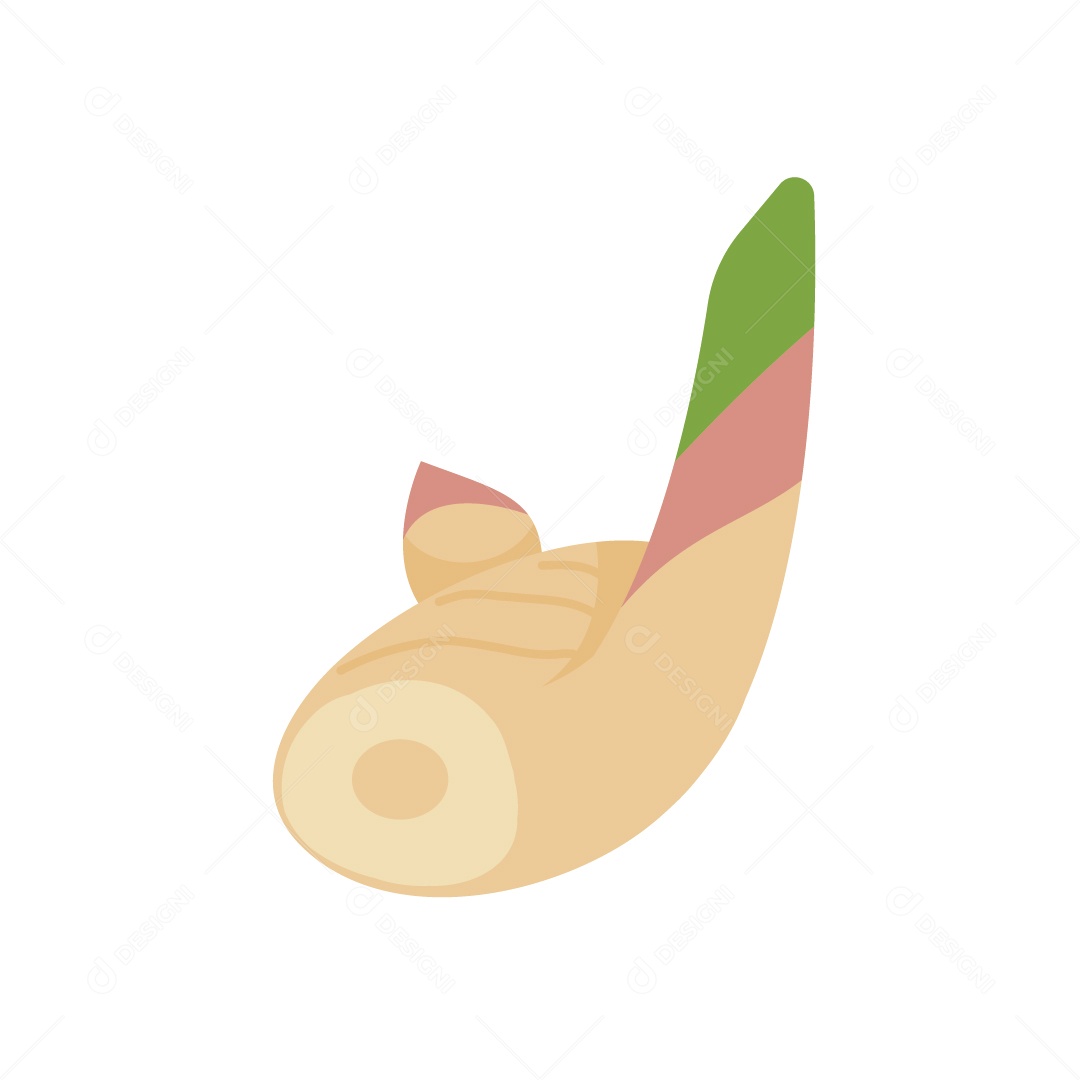 Vegetal Ilustração Vetor EPS