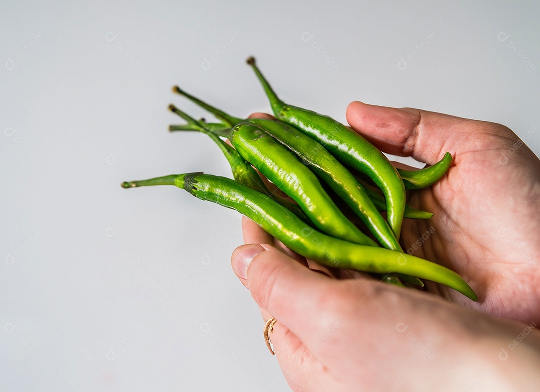 Pimentão Verde Em Fundo Branco