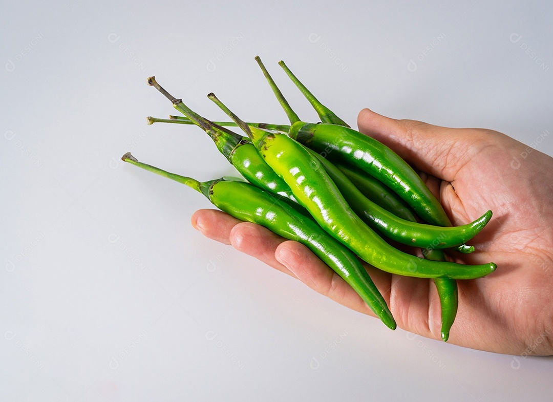 Pimentão Verde Em Fundo Branco
