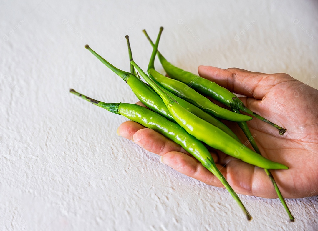 Pimentão Verde Em Fundo Branco