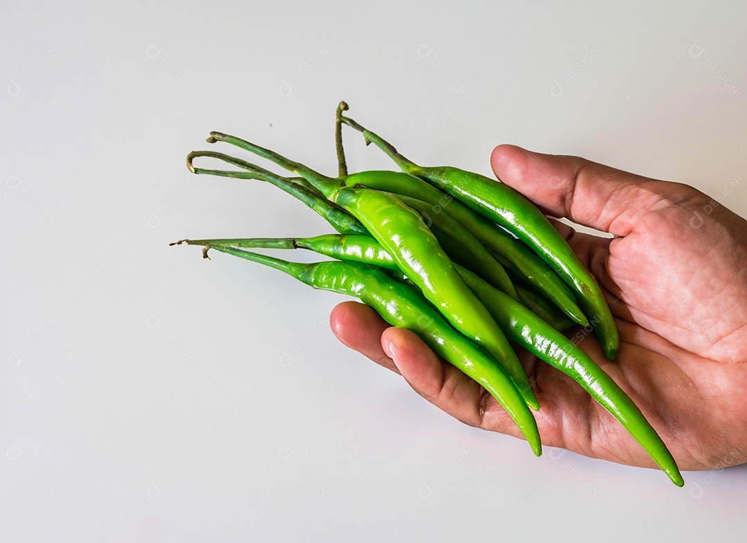 Pimentão Verde Em Fundo Branco
