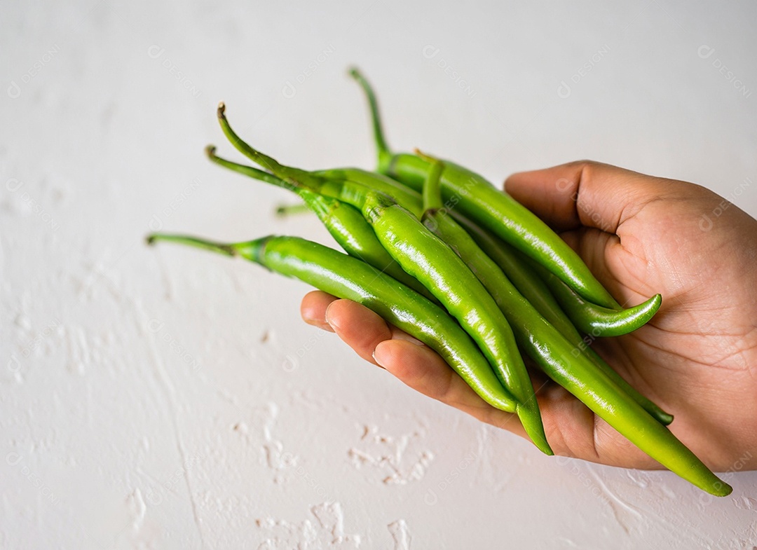 Pimentão Verde Em Fundo Branco
