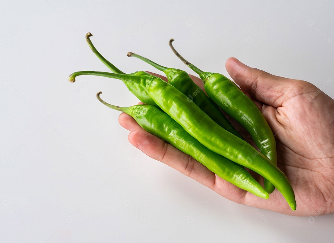 Pimentão Verde Em Fundo Branco