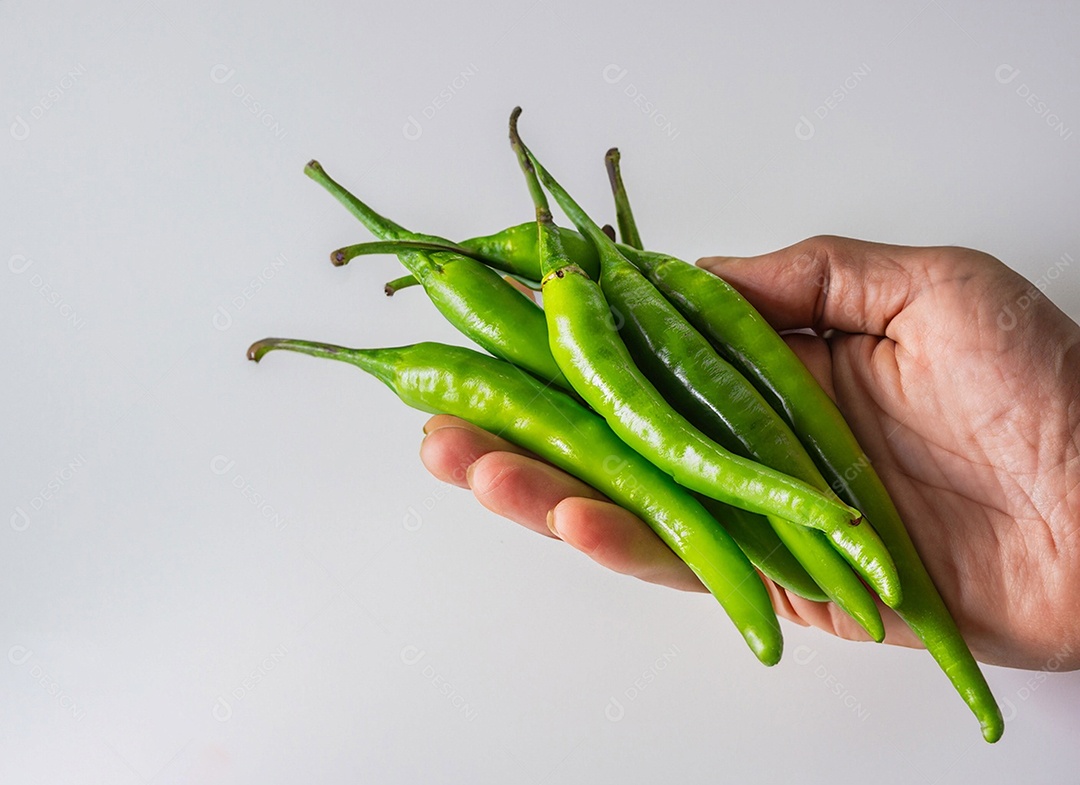 Pimentão Verde Em Fundo Branco