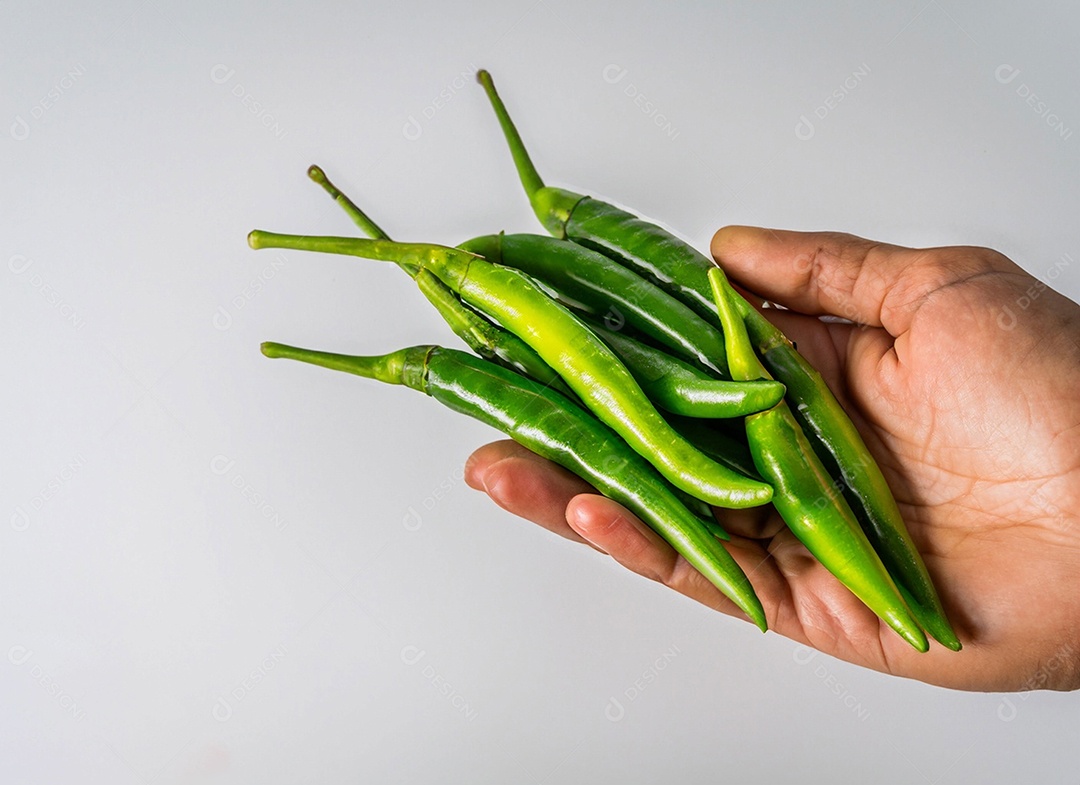 Pimentão Verde Em Fundo Branco