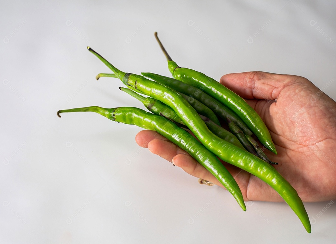 Pimentão Verde Em Fundo Branco