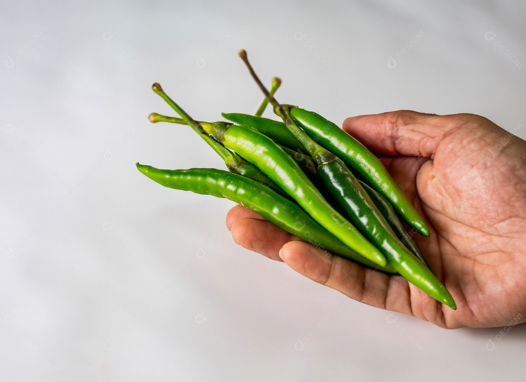 Pimentão Verde Em Fundo Branco
