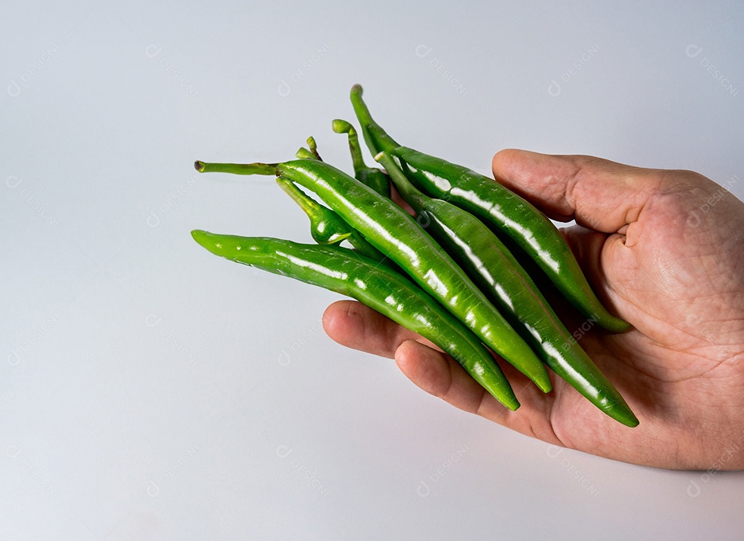 Pimentão Verde Em Fundo Branco