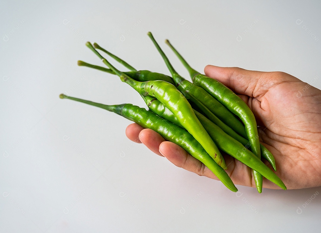 Pimentão Verde Em Fundo Branco