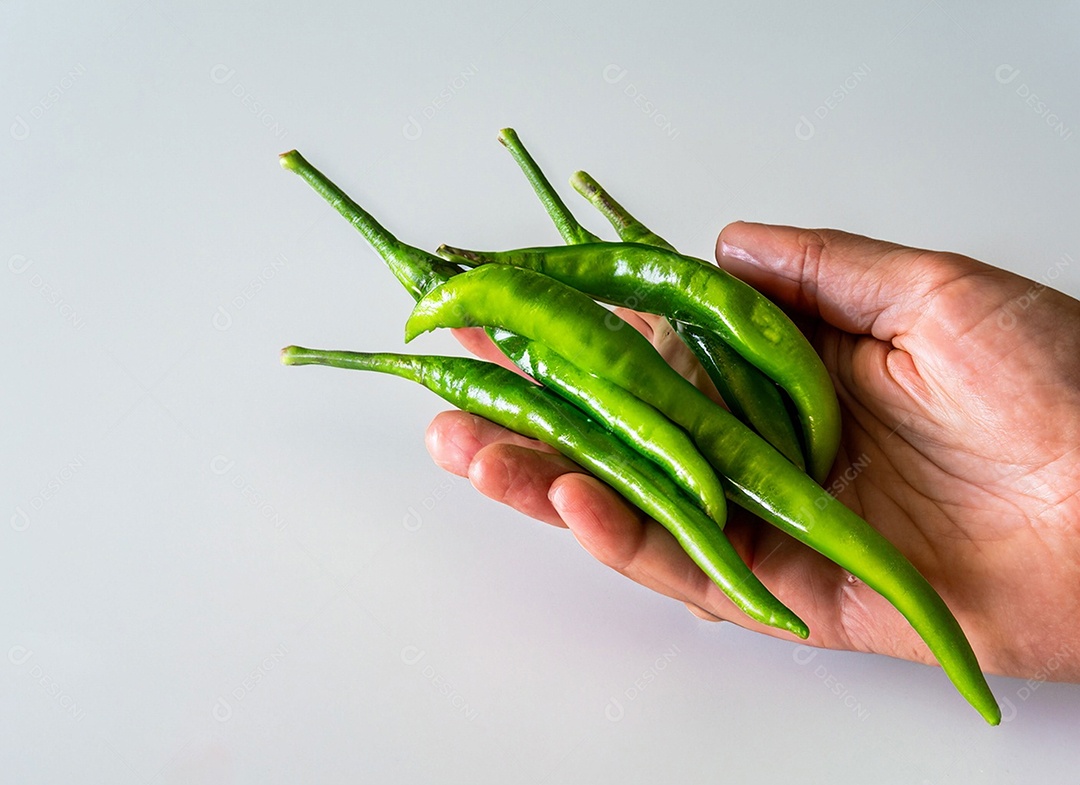 Pimentão Verde Em Fundo Branco