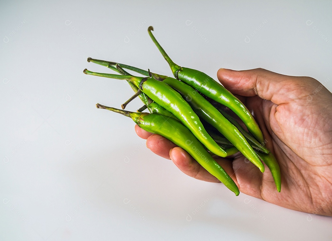 Pimentão Verde Em Fundo Branco