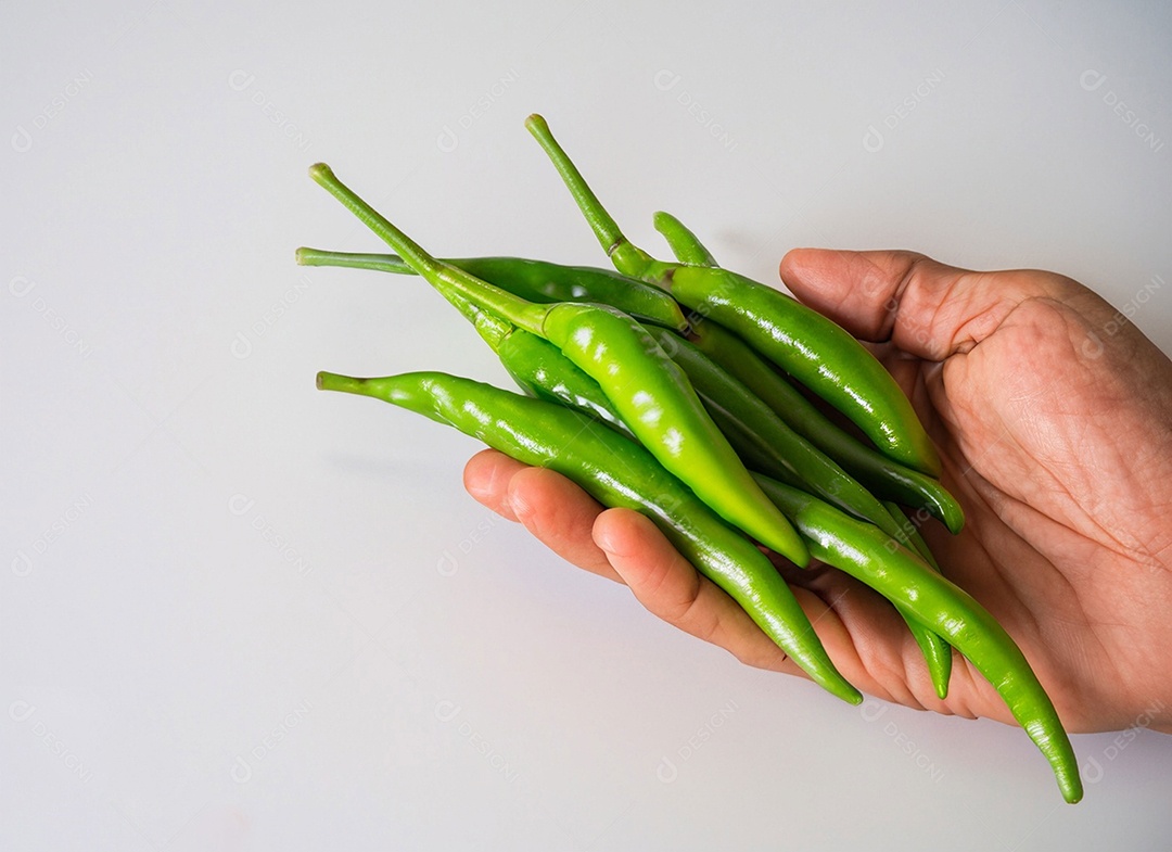 Pimentão Verde Em Fundo Branco