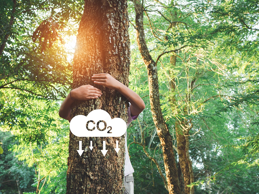 Mãos humanas estão abraçando uma árvore apaixonada. Representando ajudar a preservar o meio ambiente.