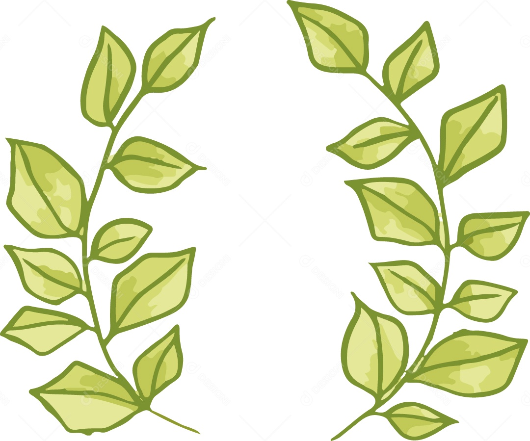 Folhas Ilustração Vetor EPS