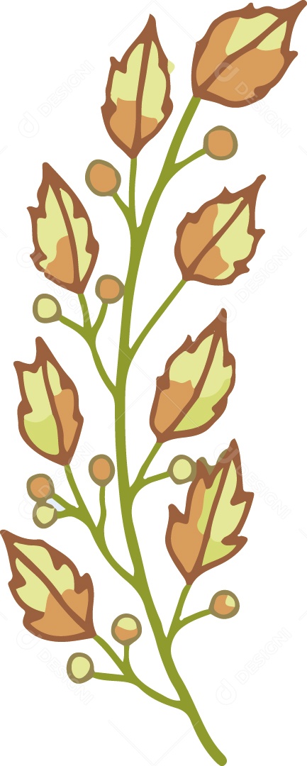 Folhas Ilustração Vetor EPS