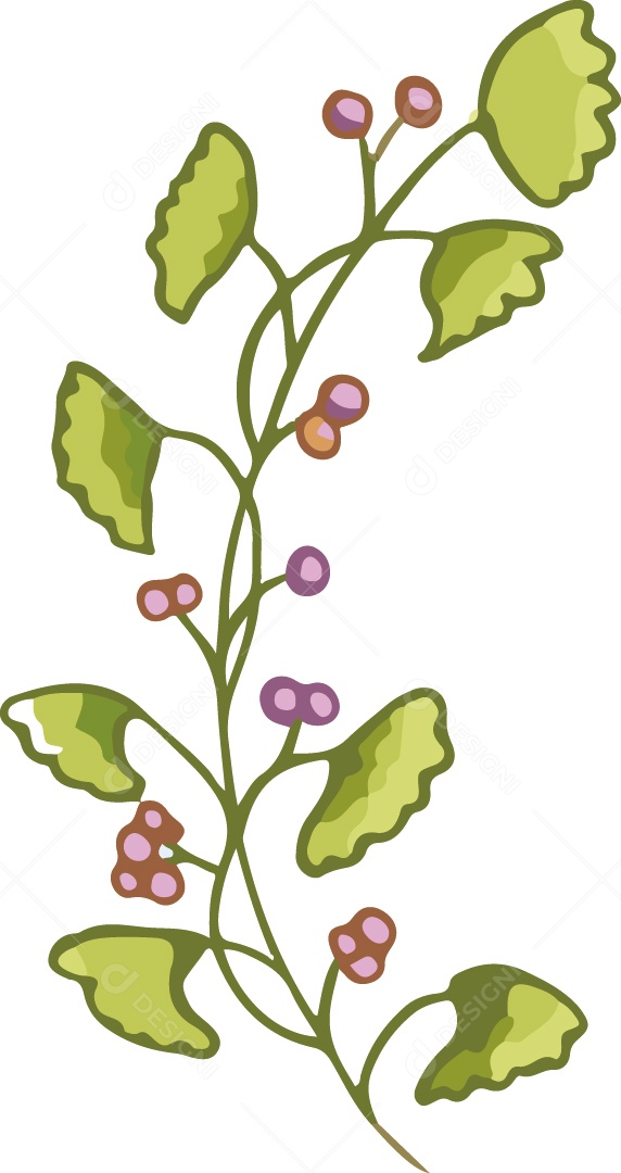 Folhas Ilustração Vetor EPS