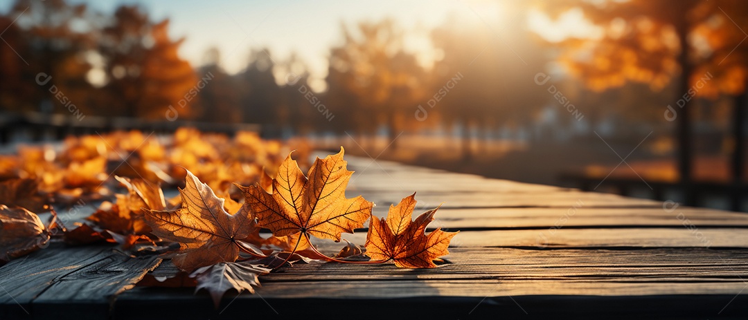 Folhas de outono sobre a mesa