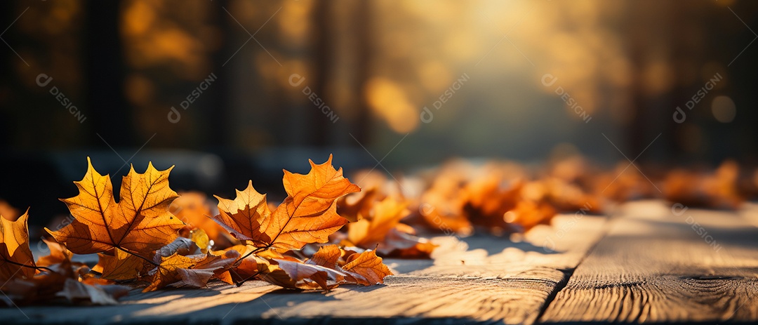 Folhas de outono sobre a mesa