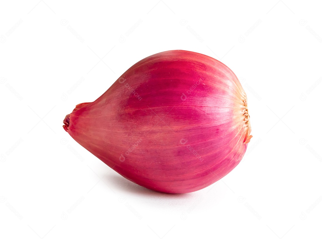 O único bulbo de cebola vermelha fresca é isolado no fundo branco com traçado de recorte.