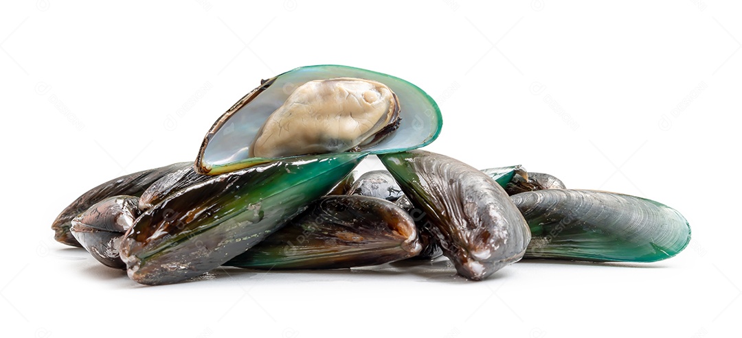 Alimentos cozidos no vapor ou cozidos de lindos mexilhões verdes frescos