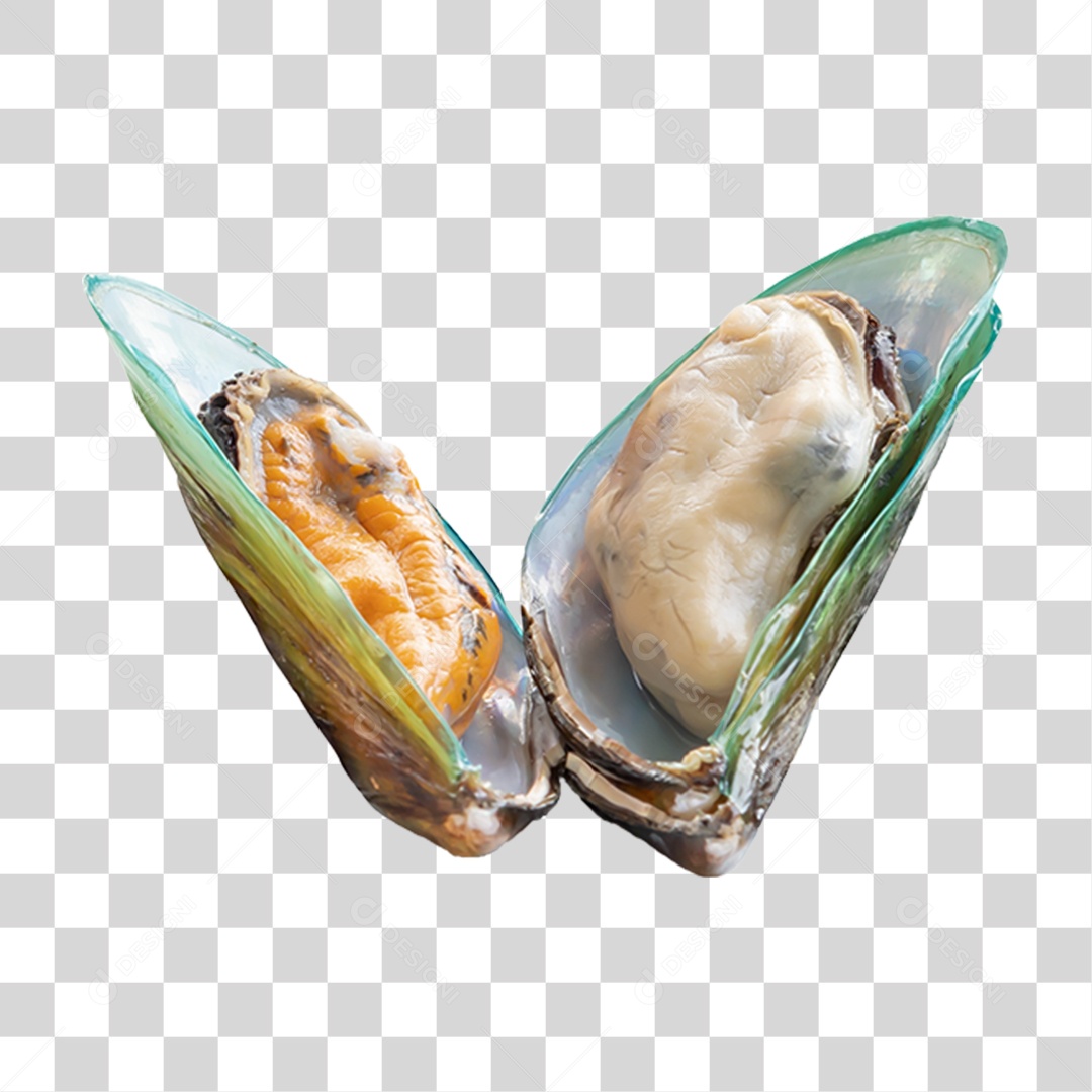 Ostras Frutos do Mar PNG Transparente