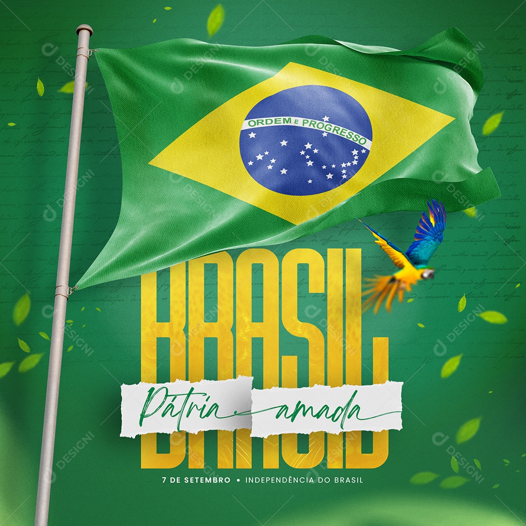Dia Da Independência do Brasil Pátria Amada 07 de Setembro Social Media PSD Editável